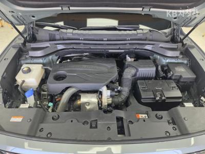 سانغ يونغ - توريس | 1.5 GDI Turbo T7 19