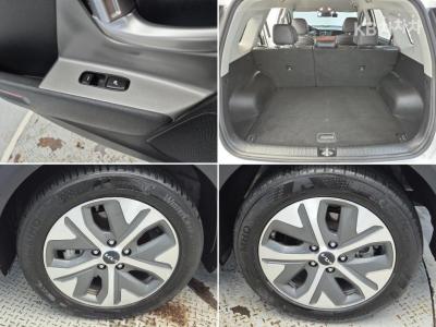 Kia - Niro | Plus EV 19