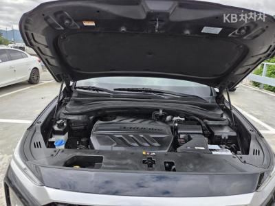 Hyundai - Santa Fe | TM Diesel 2.2 4WD Exclusive 6